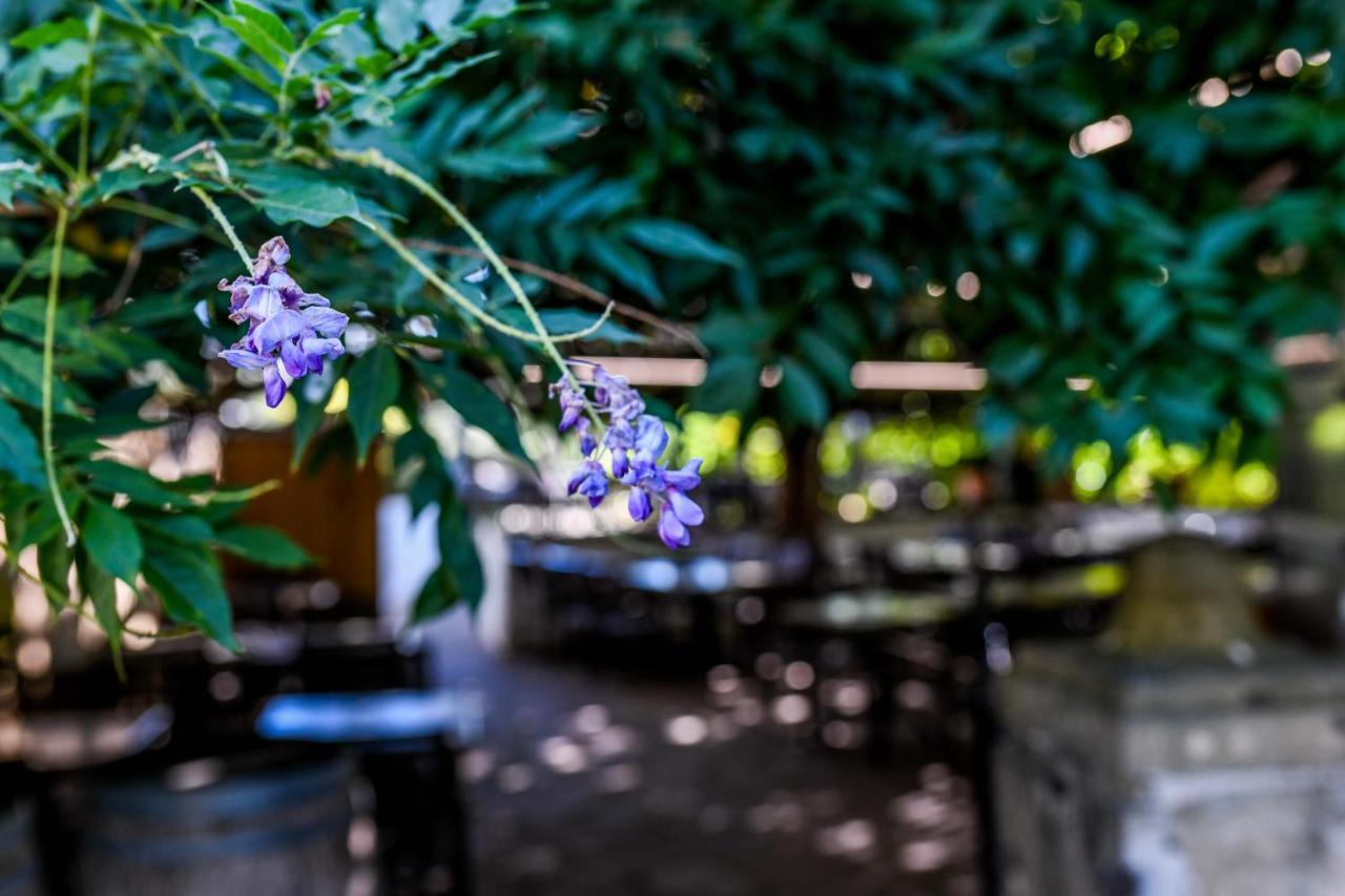 Logis Hotel Du Chene Итсасу Экстерьер фото